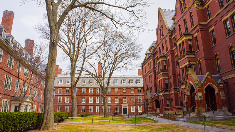 Harvard University